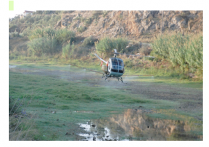 ΚΟΝΟΠΟΚΤΟΝΙΑ