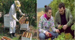 ΝΕΟΙ ΑΓΡΟΤΕΣ