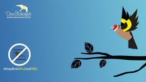 ΟΡΝΙΘΟΛΟΓΙΚΗ