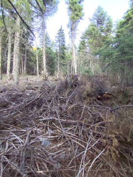 viber image 2025 06 30 14 30 01 097