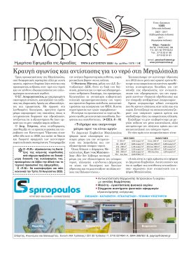 Layout 1