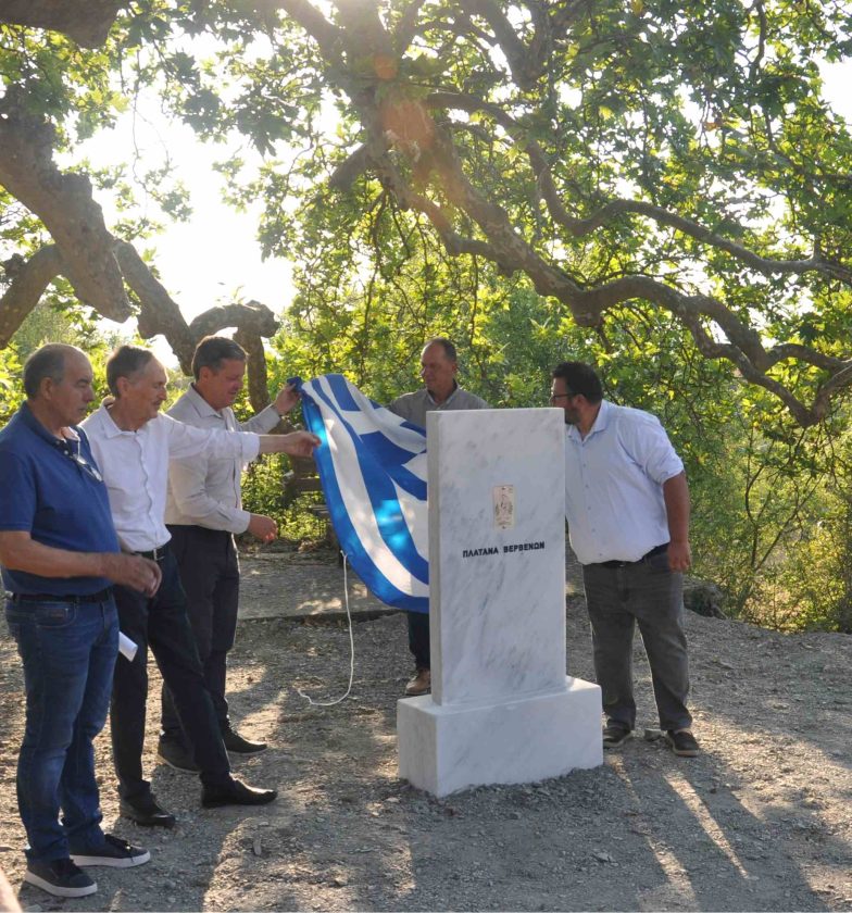 ΒΕΡΒΕΝΑ 10