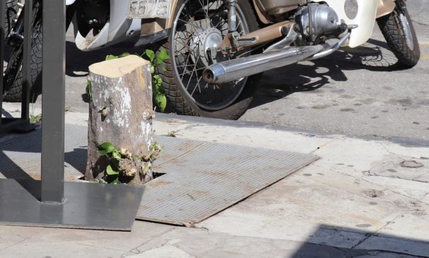 ΝΕΡΑΝΤΖΟΥΛΑ ΚΟΜΜΕΝΗ