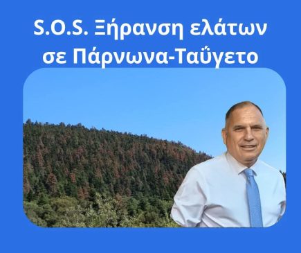 ΞΗΡΑΝΣΗ ΕΛΑΤΩΝ