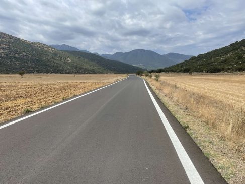 ΑΡΤΕΜΙΣΙΟ ΠΑΛΑΙΟΠΥΡΓΟΣ