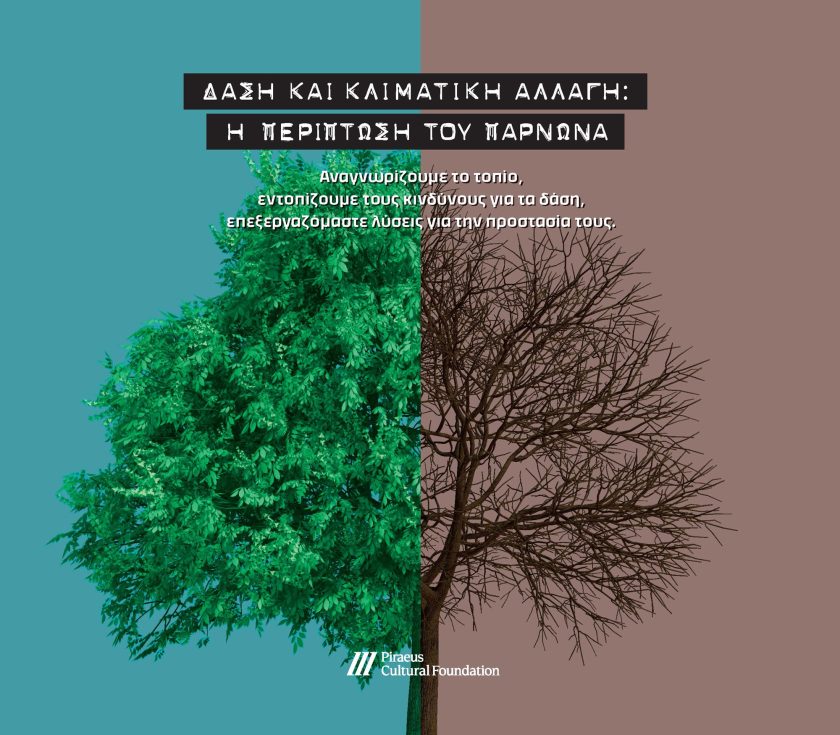 ΔΑΣΗ ΚΑΙ ΚΛΙΜΑΤΙΚΗ ΑΛΛΑΓΗ
