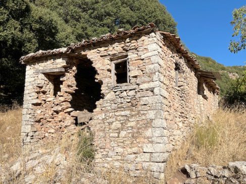 ΧΑΜΟΚΕΛΑ 2025