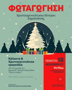 fotagogisi dendrou christmas