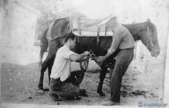 ΠΕΤΑΛΩΜΑ ΓΑΪΔΑΡΟΥ