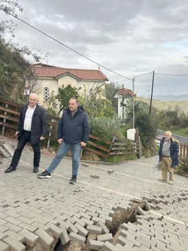 ΛΕΚΚΑΣ ΓΟΡΤΥΝΙΑ