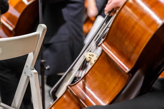 ΜΟΥΣΙΚΑ ΟΡΓΑΝΑ