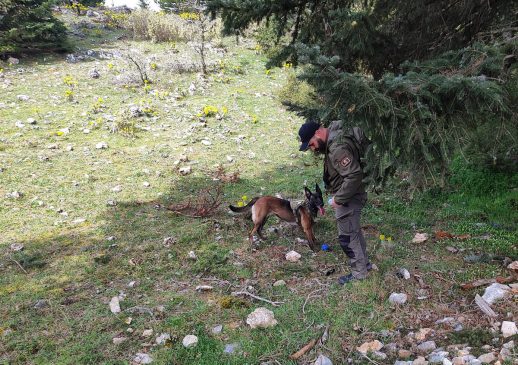 2. Ζωή Γιάννης Κανελλάκος ΕΜΑΔΔ Κυνηγετικού Συλλόγου Σπάρτης