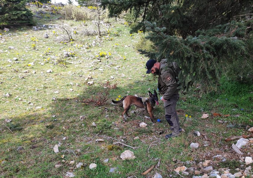 2. Ζωή Γιάννης Κανελλάκος ΕΜΑΔΔ Κυνηγετικού Συλλόγου Σπάρτης