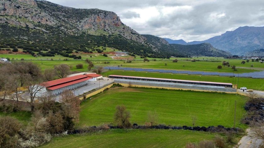ΔΗΜΟΤΙΚΟ ΚΑΤΑΦΥΓΙΟ ΤΡΙΠΟΛΗΣ