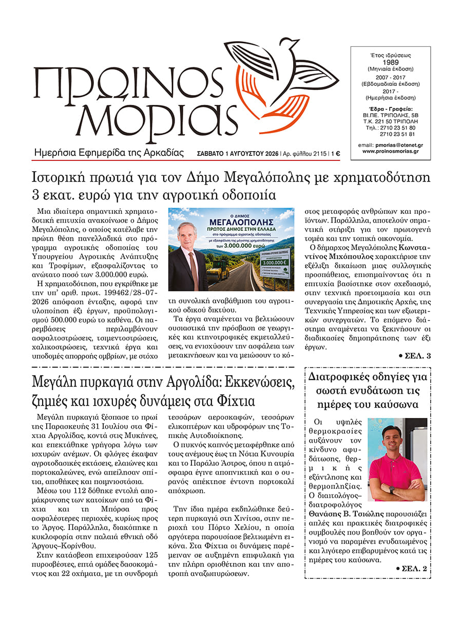ENTYPOS PROINOS MORIAS