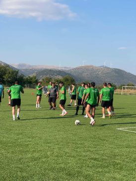 tegea proti1