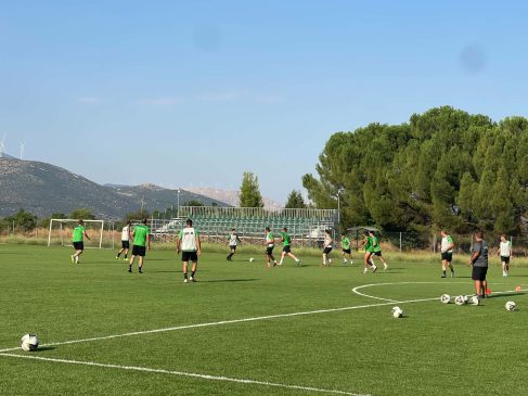 tegea proti2