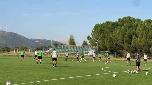 tegea proti2