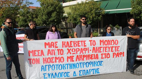 ΔΙΑΜΑΡΤΥΡΙΑ ΕΛΑΙΟΠΑΡΑΓΩΓΩΝ1