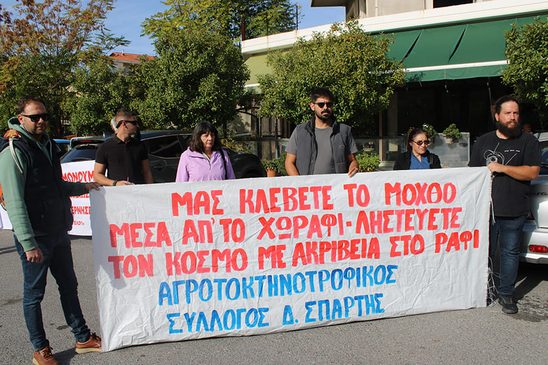 ΔΙΑΜΑΡΤΥΡΙΑ ΕΛΑΙΟΠΑΡΑΓΩΓΩΝ1