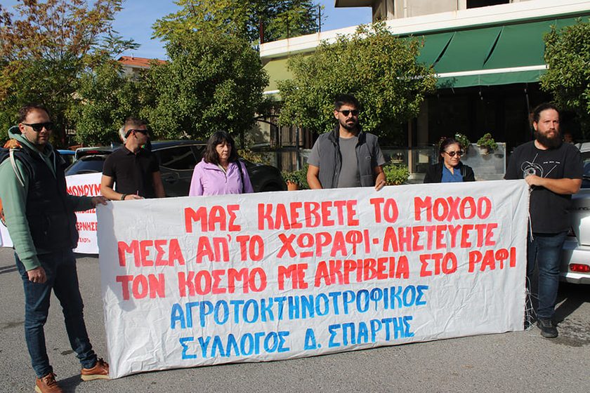 ΔΙΑΜΑΡΤΥΡΙΑ ΕΛΑΙΟΠΑΡΑΓΩΓΩΝ1
